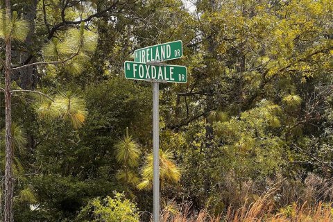Land in Citrus Springs, Florida № 2159853 - photo 11
