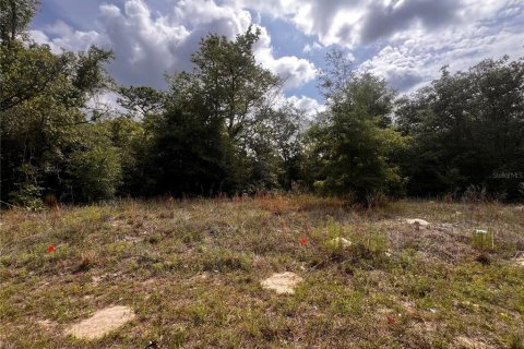 Land in Citrus Springs, Florida № 2159853