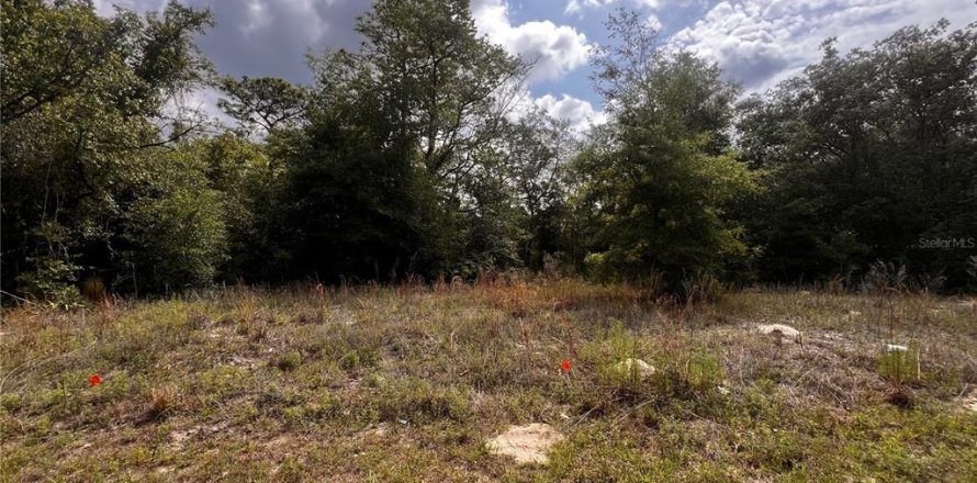 Land in Citrus Springs, Florida № 2159853