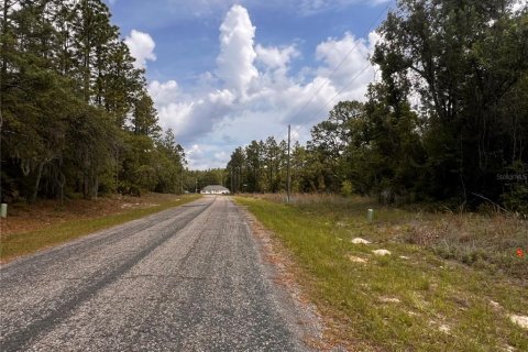 Land in Citrus Springs, Florida № 2159853 - photo 9