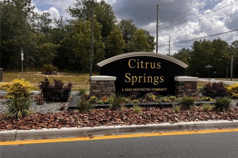 Land in Citrus Springs, Florida № 2159853 - photo 2