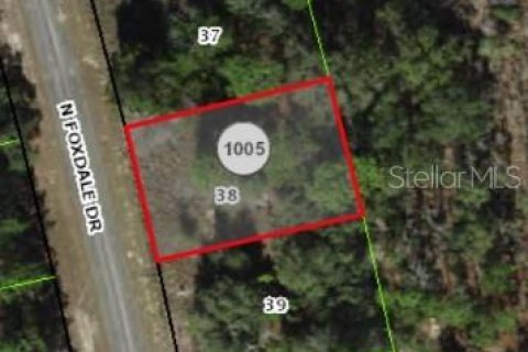Land in Citrus Springs, Florida № 2159853 - photo 13