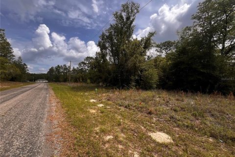 Land in Citrus Springs, Florida № 2159853 - photo 10