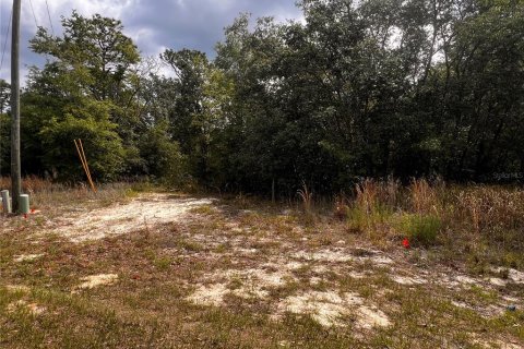 Land in Citrus Springs, Florida № 2159853 - photo 8