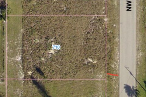 Land in Cape Coral, Florida № 1816764 - photo 1
