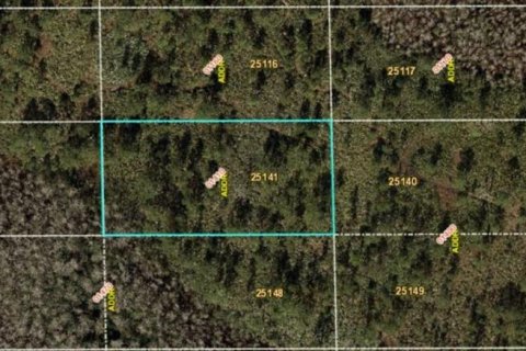 Land in Orlando, Florida № 2163602 - photo 2