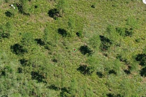 Land in Orlando, Florida № 2163602 - photo 3