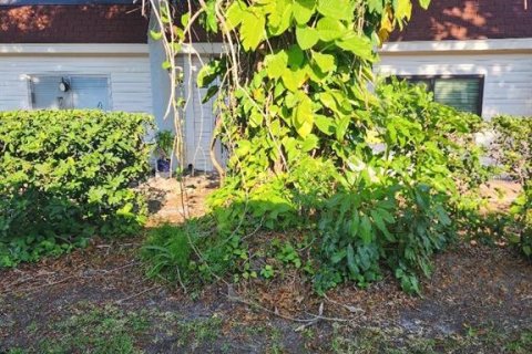 House in Seminole, Florida 2 bedrooms, 74.79 sq.m. № 1912681 - photo 15