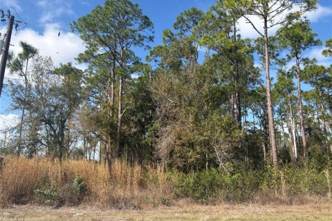 Land in Sebring, Florida № 2228847