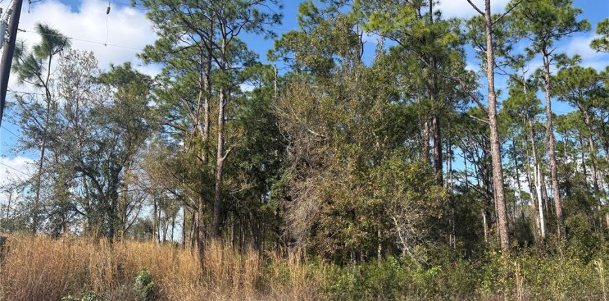Land in Sebring, Florida № 2228847