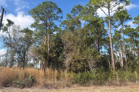 Land in Sebring, Florida № 2228847 - photo 2