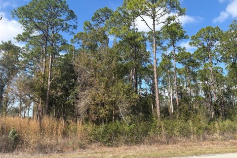 Land in Sebring, Florida № 2228847 - photo 3