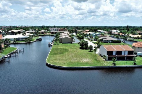 Land in Punta Gorda, Florida № 881387 - photo 4