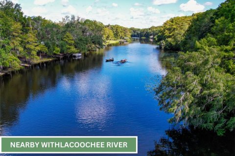 Land in Inverness, Florida № 2165613 - photo 19