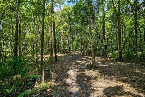 Land in Inverness, Florida № 2165613 - photo 15