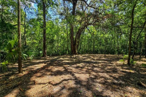 Land in Inverness, Florida № 2165613 - photo 14