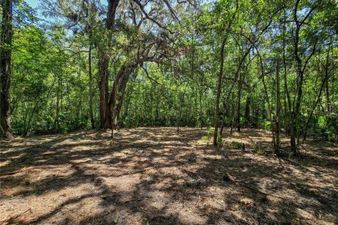 Land in Inverness, Florida № 2165613 - photo 11