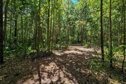 Land in Inverness, Florida № 2165613 - photo 4