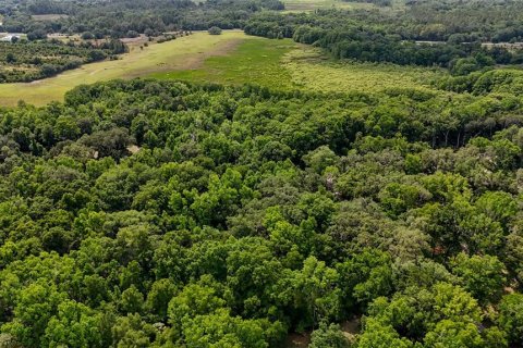 Land in Inverness, Florida № 2165613 - photo 20