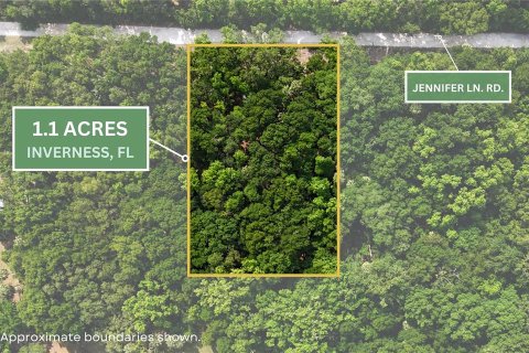 Land in Inverness, Florida № 2165613 - photo 18