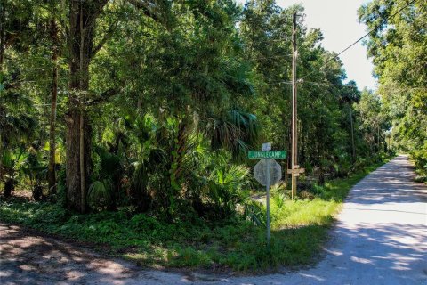 Land in Inverness, Florida № 2165613 - photo 2