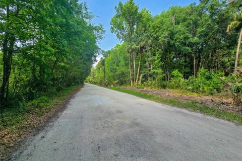 Land in Inverness, Florida № 2165613 - photo 6