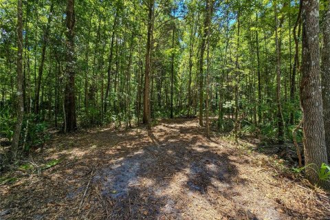 Land in Inverness, Florida № 2165613