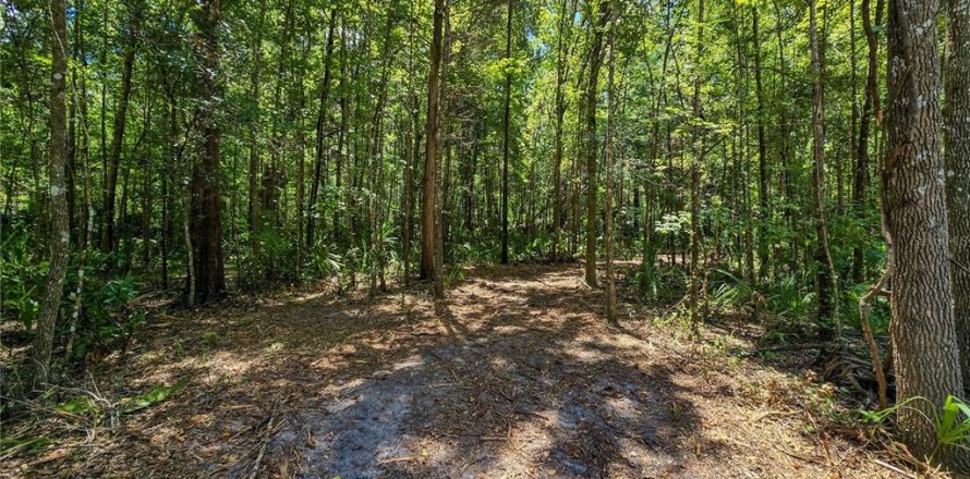Land in Inverness, Florida № 2165613
