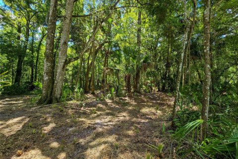 Land in Inverness, Florida № 2165613 - photo 8