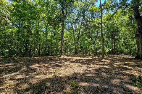 Land in Inverness, Florida № 2165613 - photo 9