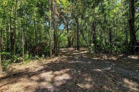 Land in Inverness, Florida № 2165613 - photo 10