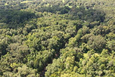 Land in Inverness, Florida № 2165613 - photo 3