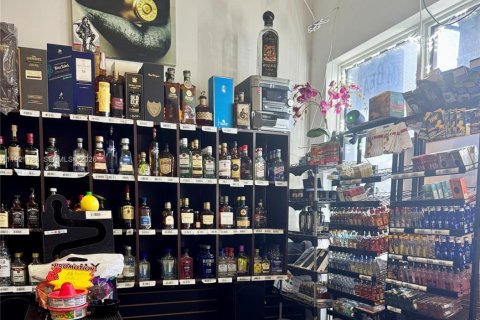 Propiedad comercial en venta en Hallandale Beach, Florida № 2031760 - foto 3