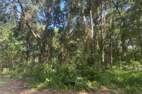 Terrain à vendre à Ocala, Floride № 1827914 - photo 8