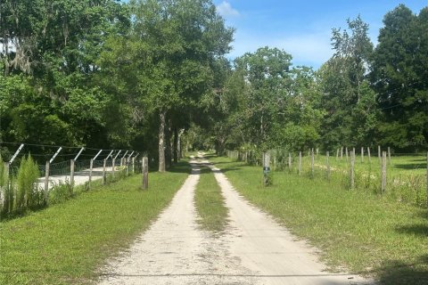 Terrain à vendre à Ocala, Floride № 1827914 - photo 6