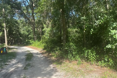 Terrain à vendre à Ocala, Floride № 1827914 - photo 7