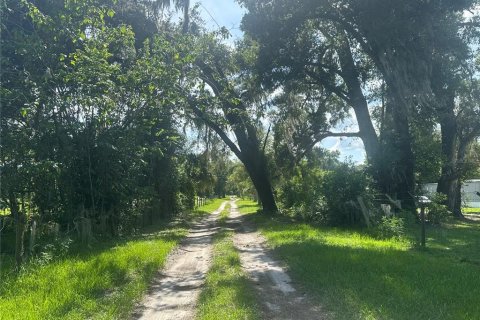Terrain à vendre à Ocala, Floride № 1827914 - photo 2