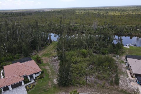Terreno en venta en Port Charlotte, Florida № 1742860 - foto 6