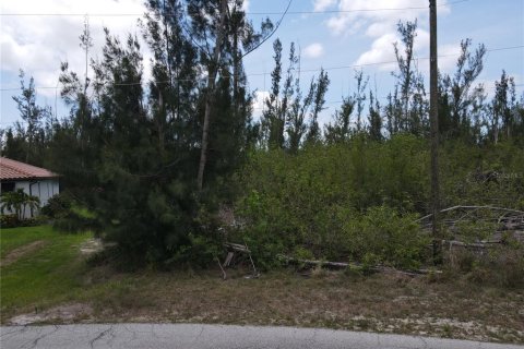 Terreno en venta en Port Charlotte, Florida № 1742860 - foto 14