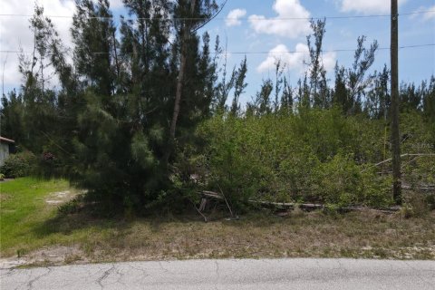 Terreno en venta en Port Charlotte, Florida № 1742860 - foto 19