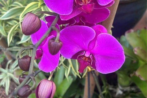 House in Homestead, Florida 5 bedrooms № 1997936 - photo 27