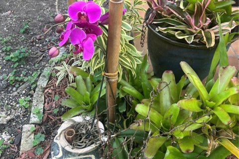 House in Homestead, Florida 5 bedrooms № 1997936 - photo 26