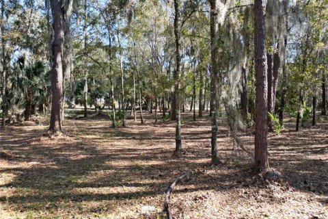 Terrain à vendre à Tavares, Floride № 2195348 - photo 7