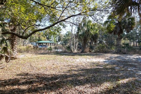 Terrain à vendre à Tavares, Floride № 2195348 - photo 6