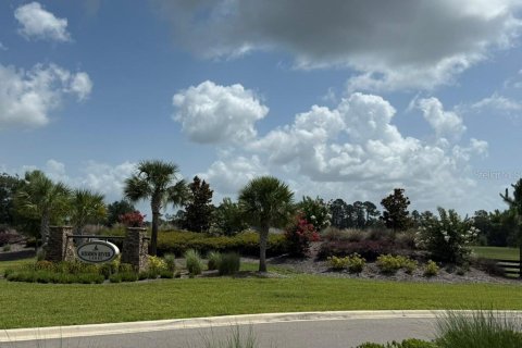 Terrain à vendre à Tavares, Floride № 2195348 - photo 14