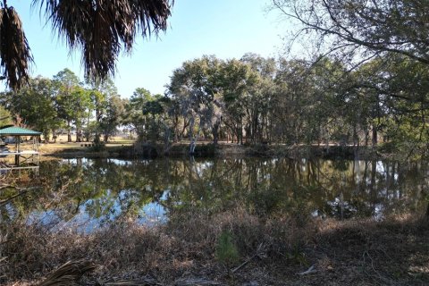 Terrain à vendre à Tavares, Floride № 2195348 - photo 5