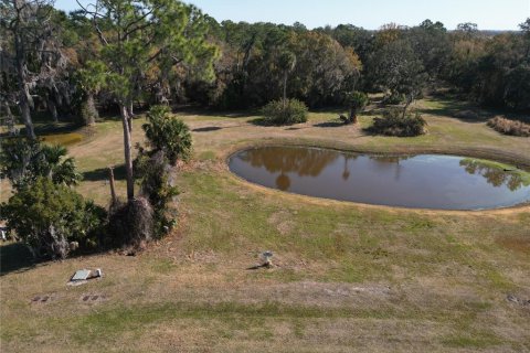 Terrain à vendre à Tavares, Floride № 2195348 - photo 3