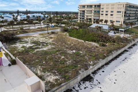 Land in Ponce Inlet, Florida № 1804790 - photo 19