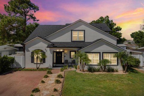 House in Tampa, Florida 5 bedrooms, 269.88 sq.m. № 2104654
