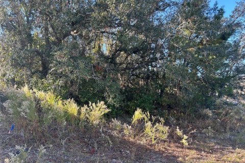 Land in Spring Hill, Florida № 1774618 - photo 4